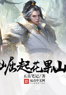崛起花果山 cover