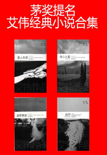 茅獎提名艾偉經典小說合集