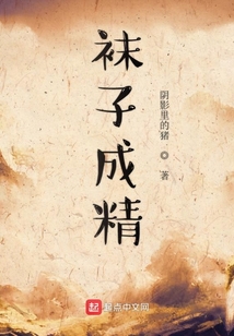 西游之襪子成精