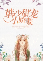 韩少甜宠小娇妻