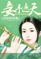 妾手遮天