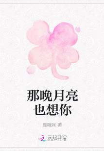 那晚月亮也想你