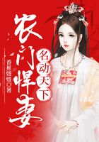农门悍妻名动天下