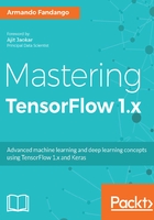 Mastering TensorFlow 1.x