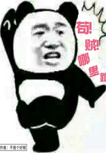 茍！賊！哪里跑