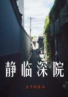 静临深院