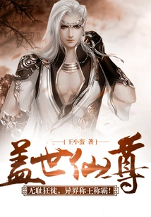 盖世仙尊 封面