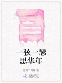 一弦一瑟思華年