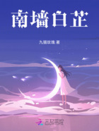 南墙白芷在线阅读