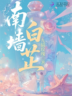 南墙白芷在线阅读