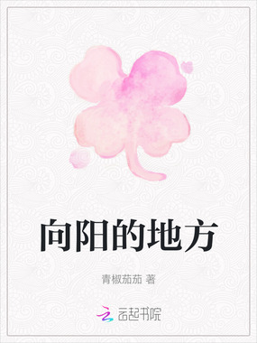 向阳的地方在线阅读