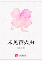 未見螢火蟲在線閱讀