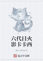 六代目火影卡卡西在线阅读