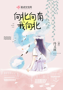 向北向南我向北