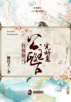 紅妝駙馬在線閱讀