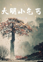 大明小乞丐在線閱讀