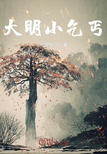大明小乞丐