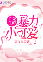 乔先生的暴力小可爱在线阅读