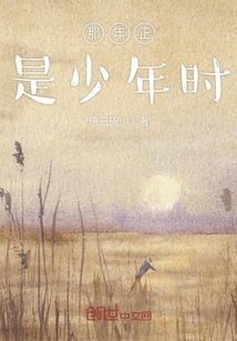 那年正是少年時