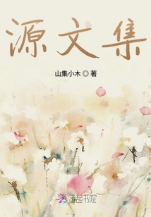 源文集