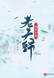 我真不是老天师