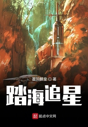 踏海追星在线阅读