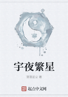 宇夜繁星在线阅读