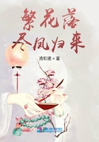 繁花落尽凤归来