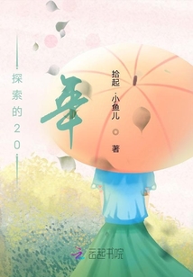 探索的20年
