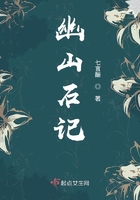 幽山石记在线阅读