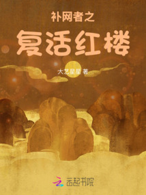 補(bǔ)網(wǎng)者之復(fù)活紅樓