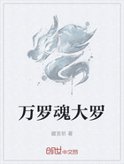万罗魂大罗在线阅读