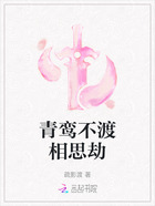 青鸾不渡相思劫在线阅读