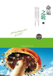 命运之轮(上)