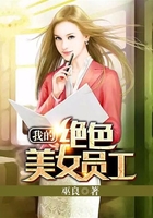 我的绝色美女员工