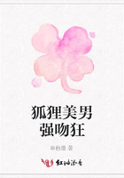 狐貍美男強(qiáng)吻狂在線閱讀