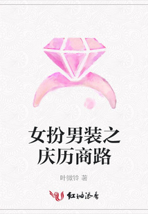 女扮男装之庆历商路