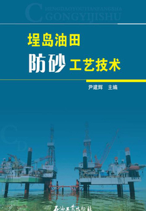 埕島油田防砂工藝技術