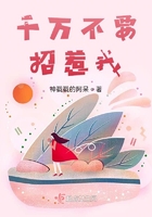 千万不要招惹我