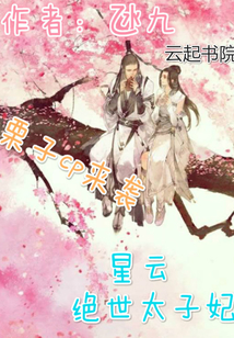 星云絕世太子妃