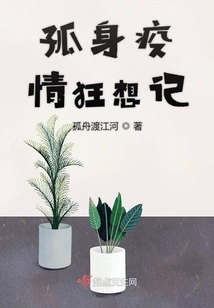 孤身疫情狂想記