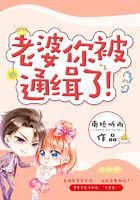 老婆，你被通缉了！在线阅读