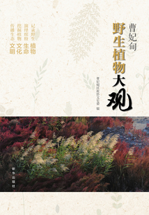 曹妃甸野生植物大觀
