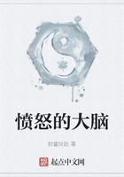 愤怒的大脑在线阅读