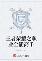 王者荣耀之职业全能高手