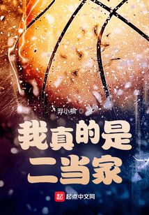 我真的是二當家