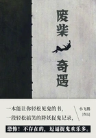 废柴奇遇(第11卷)在线阅读