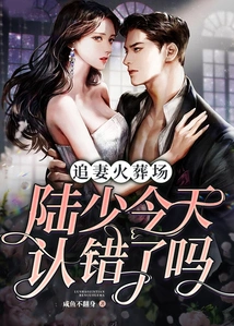 追妻火葬场:陆总今天认错了吗 封面