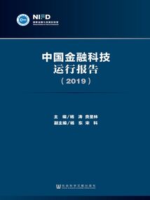 中國金融科技運行報告（2019）