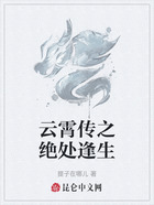 云霄传之绝处逢生在线阅读